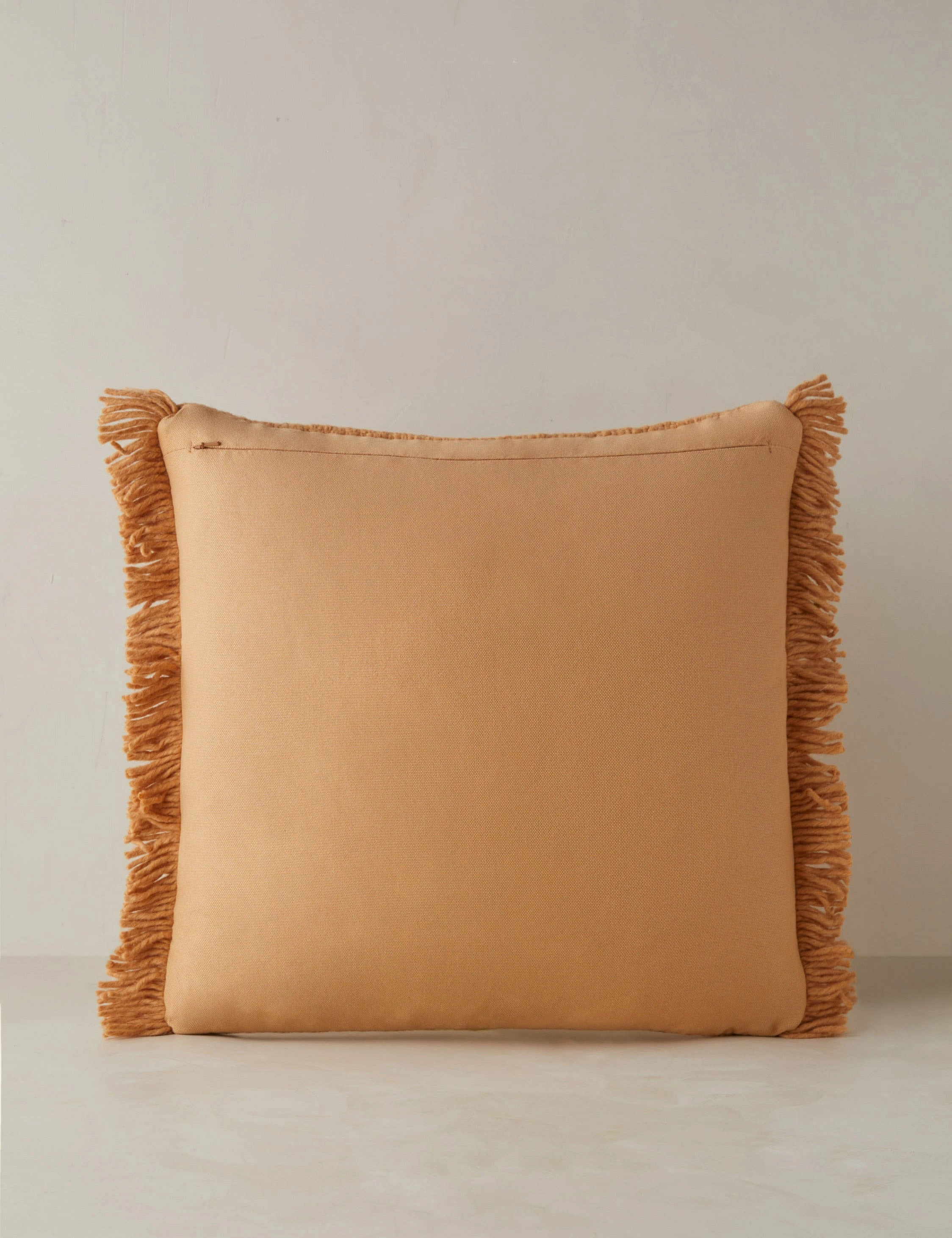 Thorpe Indoor / Outdoor Pillow