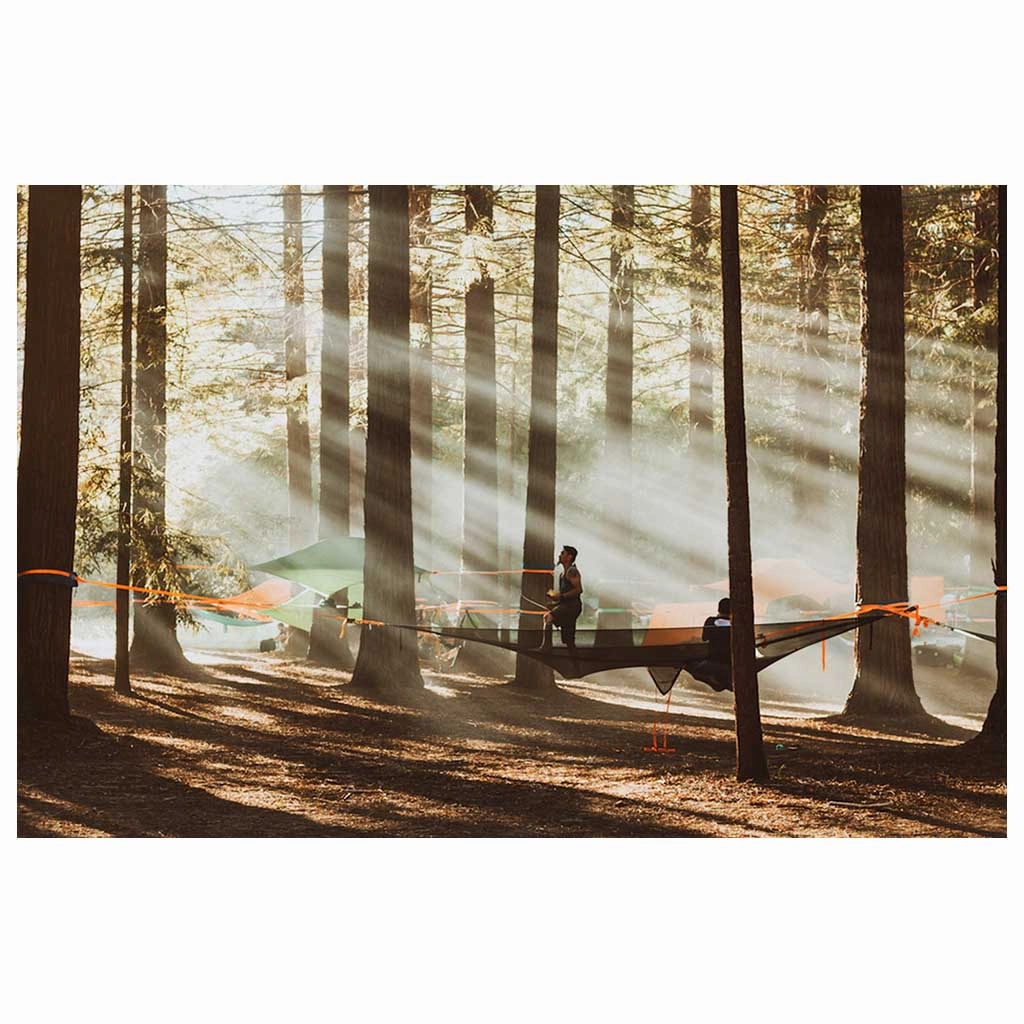 Trillium XL Hammock | 6 Person