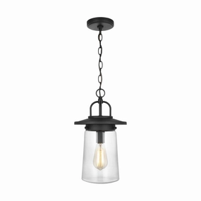 Tybee 1-Light Outdoor PendantWeatherproof outdoor lighting