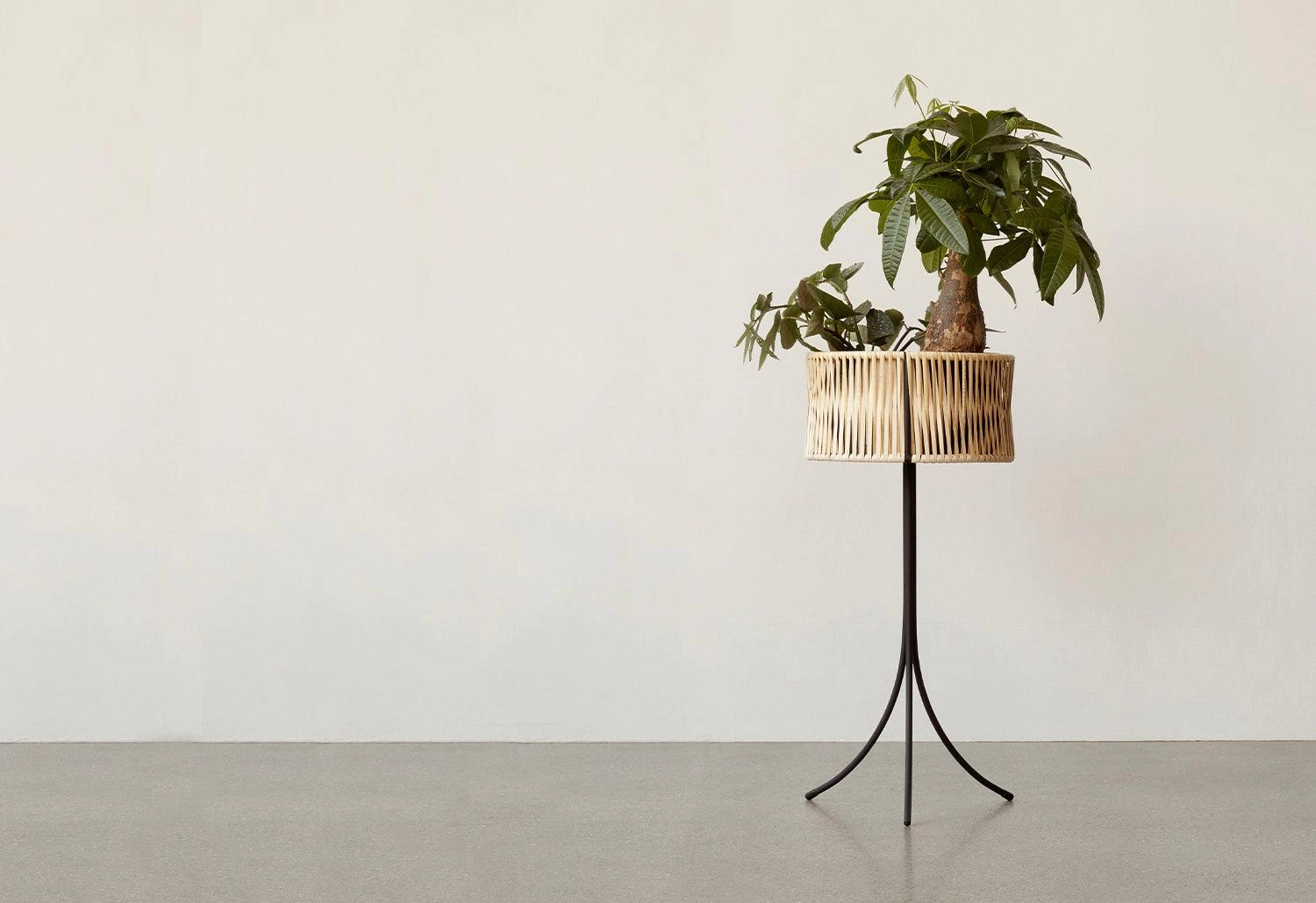 Umanoff Planter