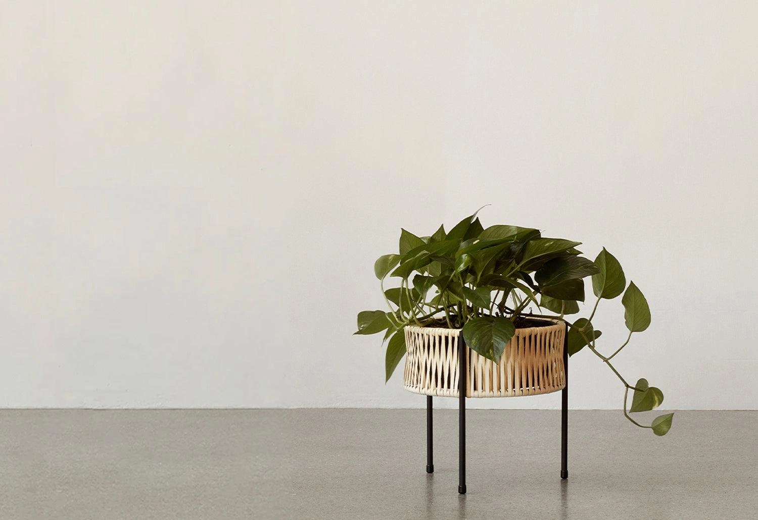 Umanoff Planter