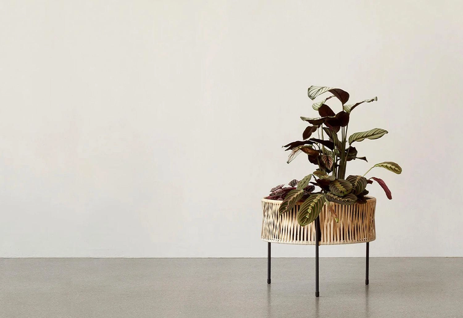 Umanoff Planter