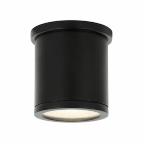 Volute 1-Light Outdoor Ceiling LightWeatherproof outdoor lighting