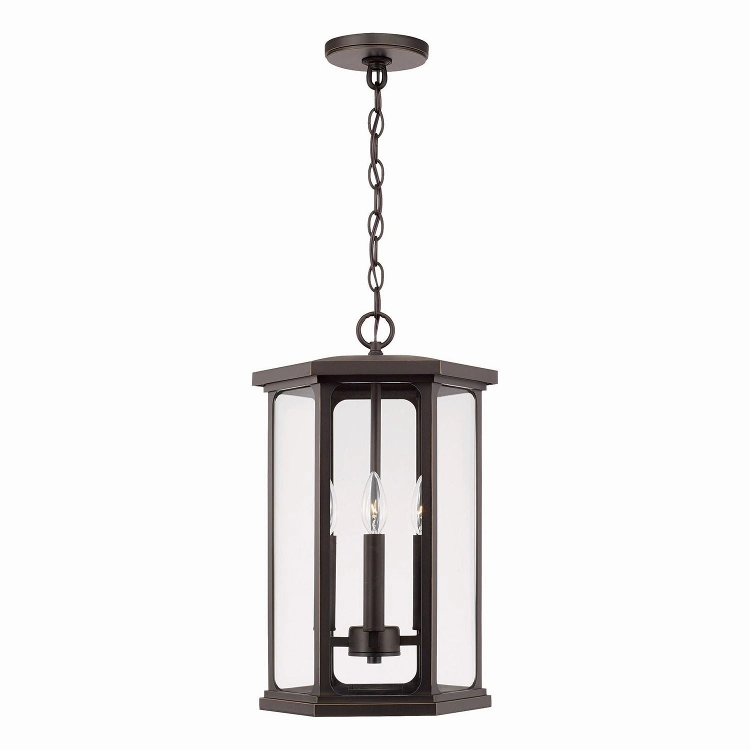 Walton 4-Light Outdoor Hanging Lantern