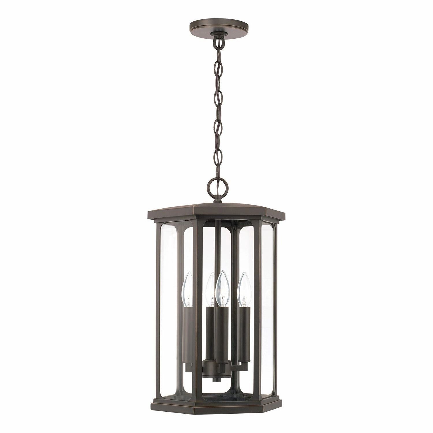 Walton 4-Light Outdoor Hanging Lantern