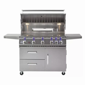 Whistler by Bonfire Outdoor Prime 500 42 inch 5-Burner Freestanding Propane Grill with Infrared Rear Burner CBF500CDC-LP stainless steel BBQ grill with side table