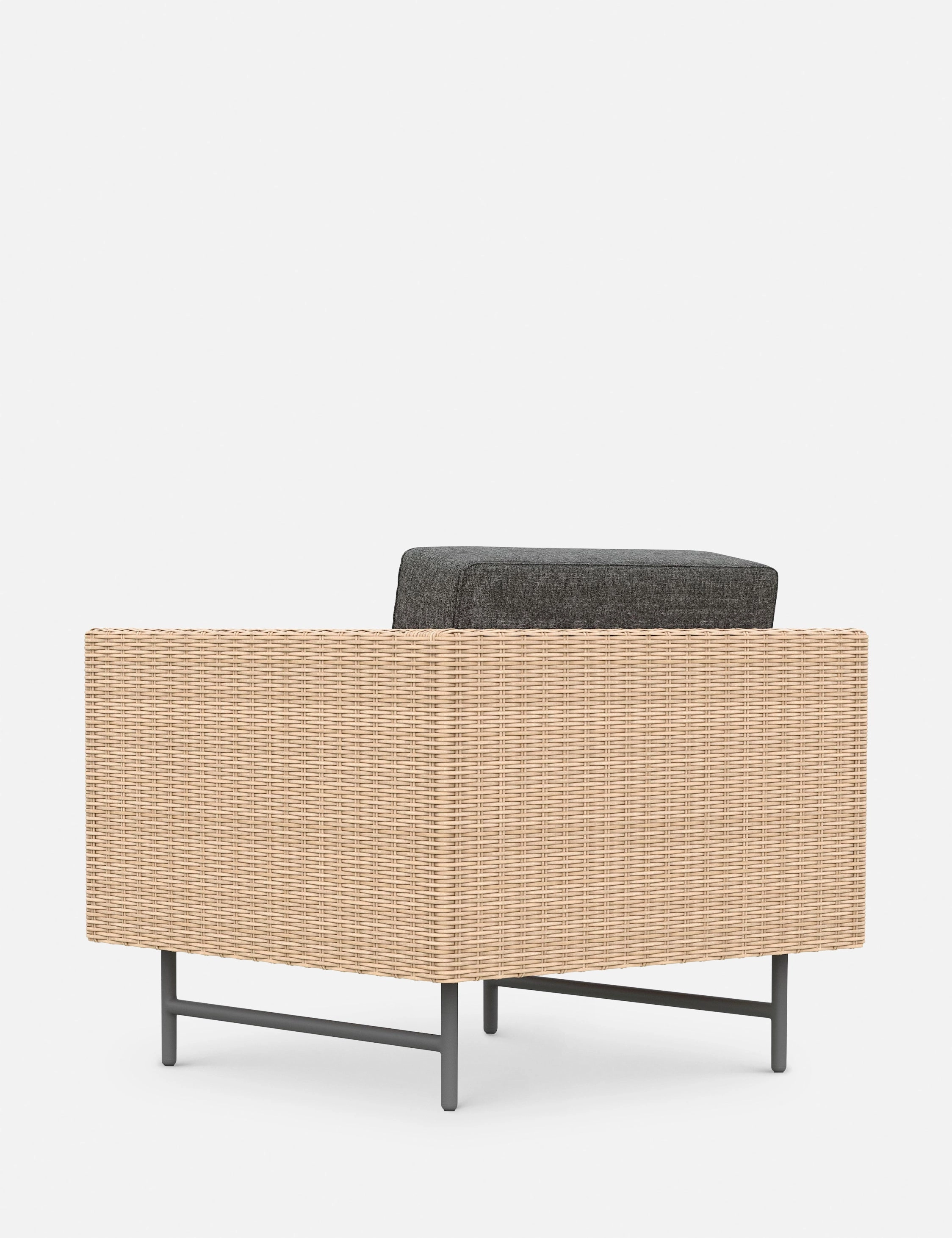 Wilde Indoor / Outdoor Accent Chair