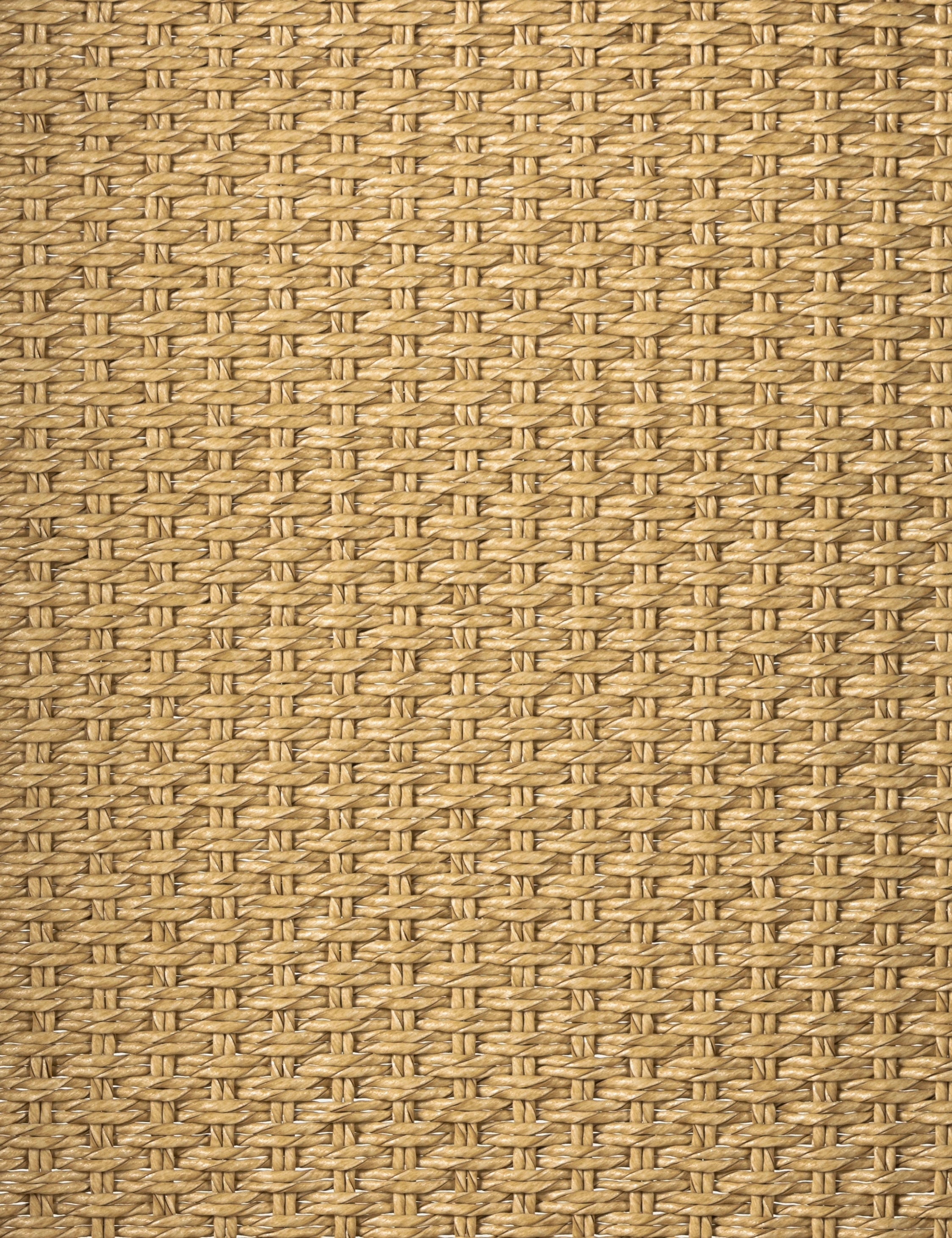 Wilkins Indoor / Outdoor Accent Chair