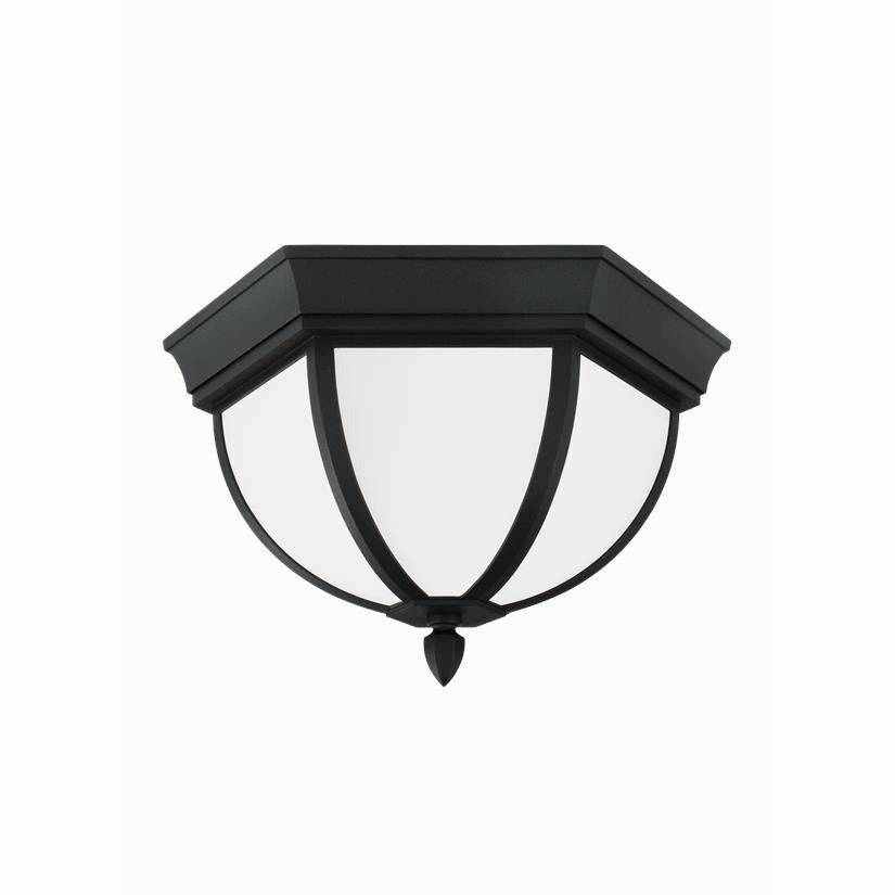 Wynfield 2-Light Outdoor Ceiling LightWeatherproof outdoor lighting