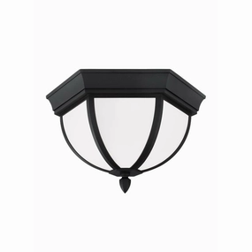 Wynfield 2-Light Outdoor Ceiling LightWeatherproof outdoor lighting