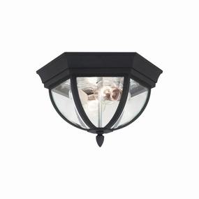 Wynfield Outdoor Ceiling LightWeatherproof outdoor lighting