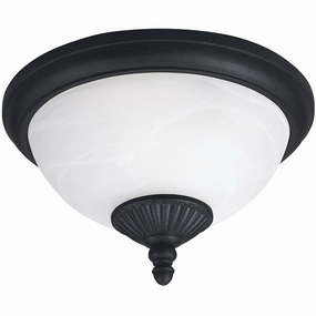 Yorktown Outdoor Ceiling LightWeatherproof outdoor lighting